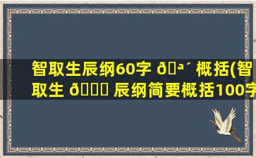 智取生辰纲60字 🪴 概括(智取生 🐅 辰纲简要概括100字)